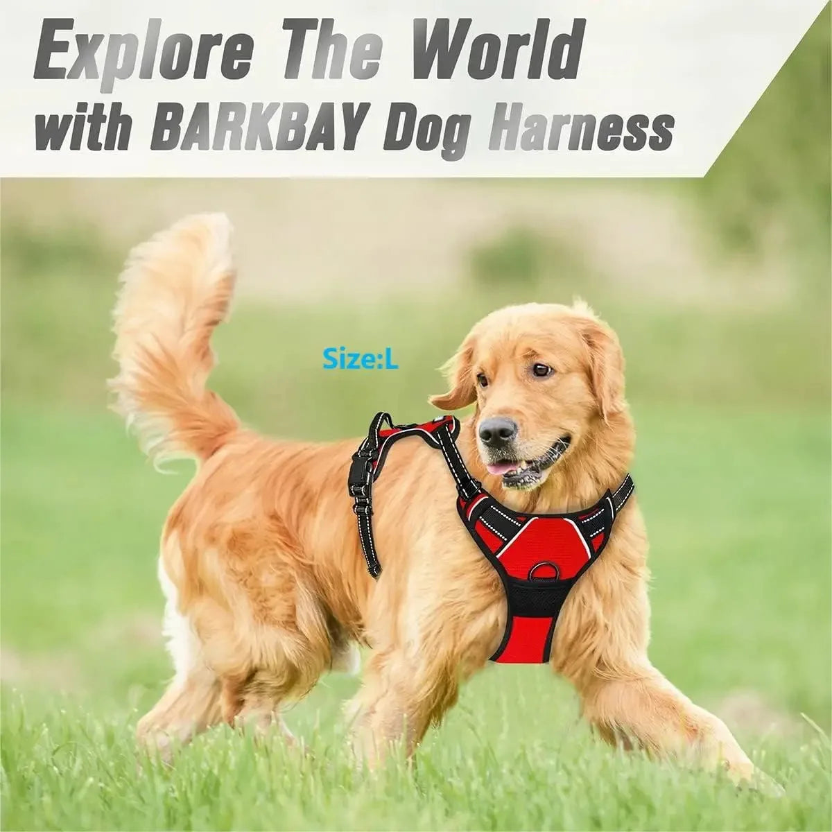 Ultimate Dog Gear Set