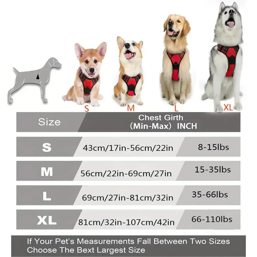 Ensemble ultime d'équipement pour chien
