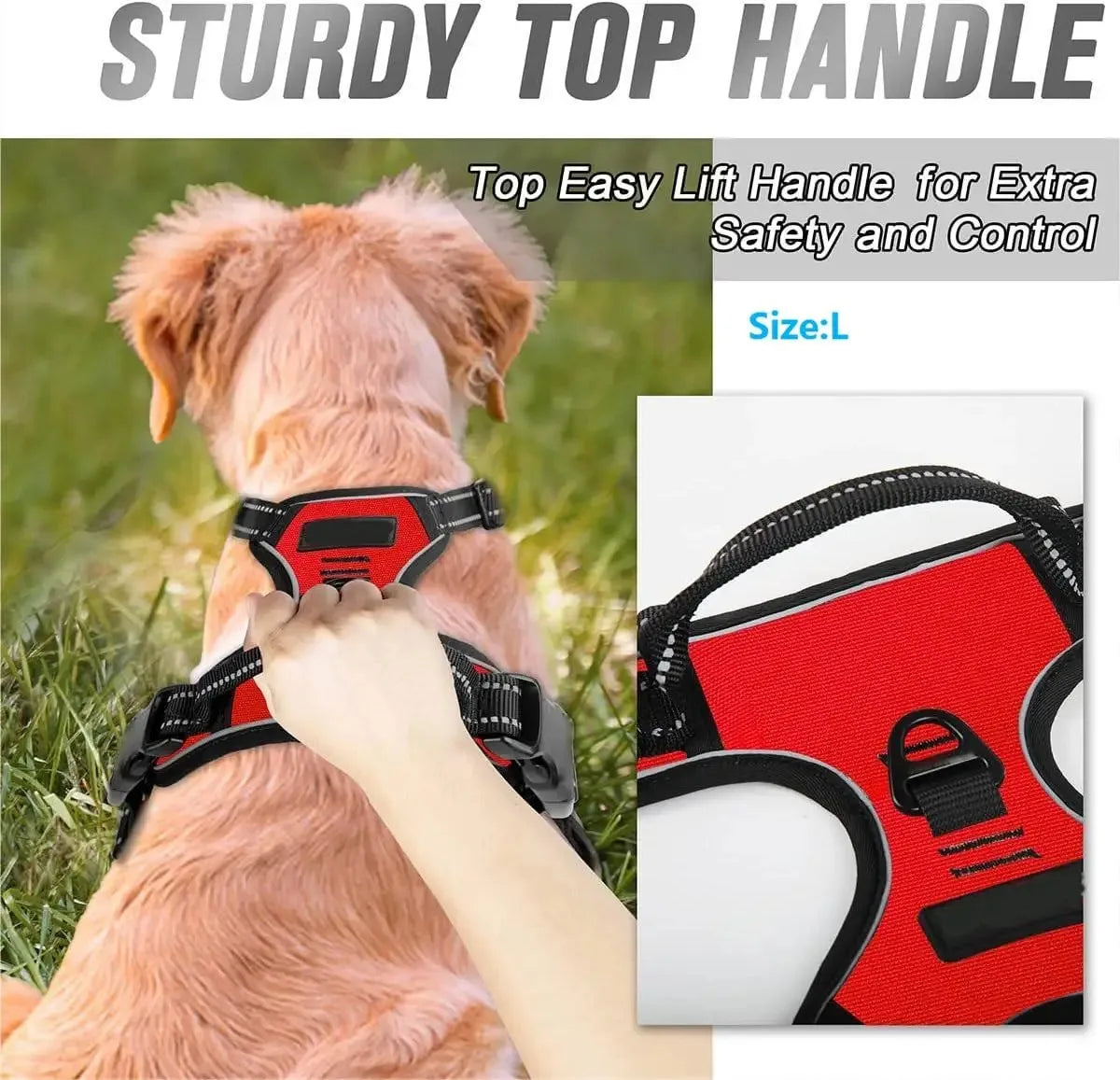 Ultimate Dog Gear Set