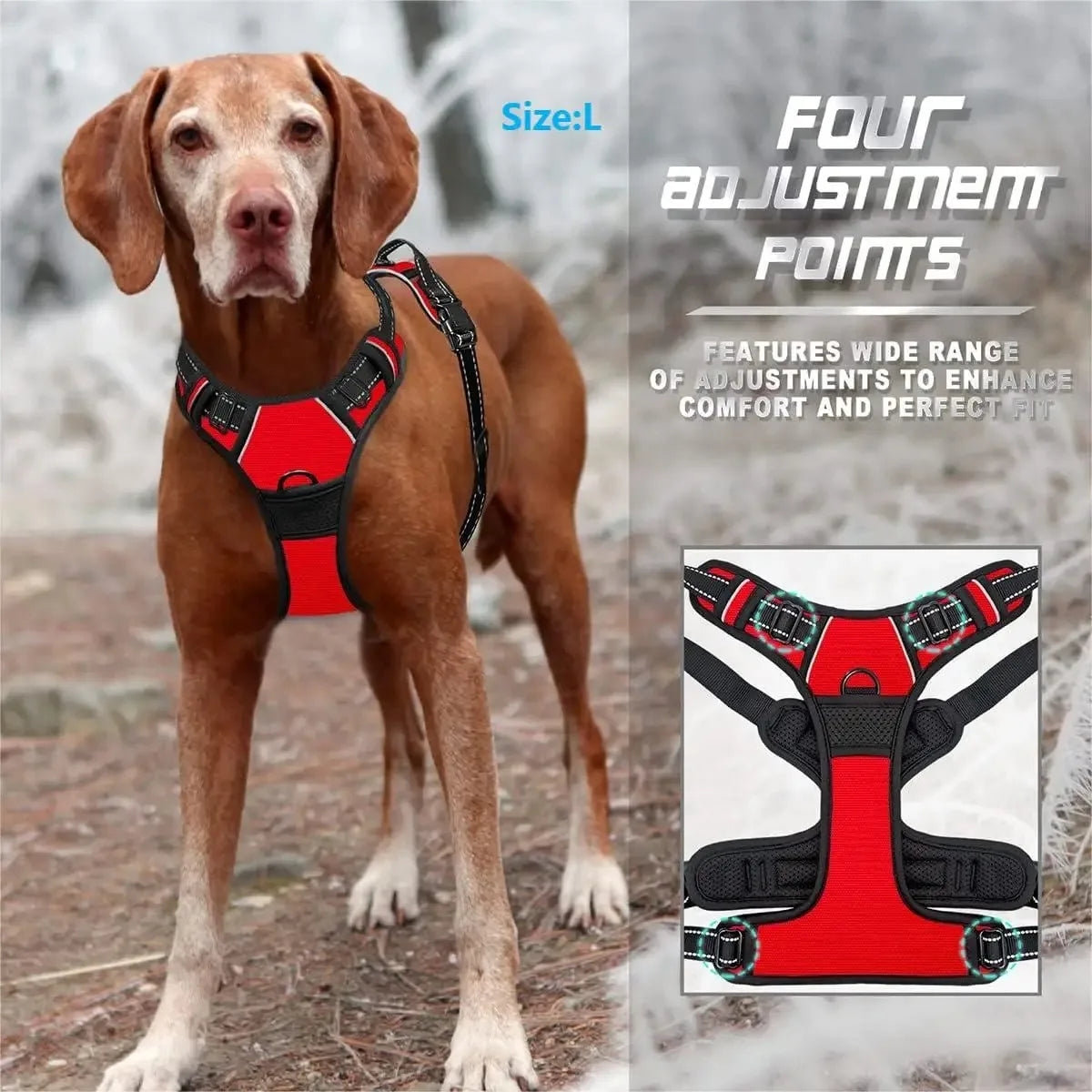 Ultimate Dog Gear Set