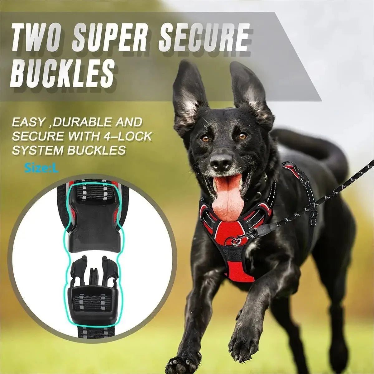 Ultimate Dog Gear Set