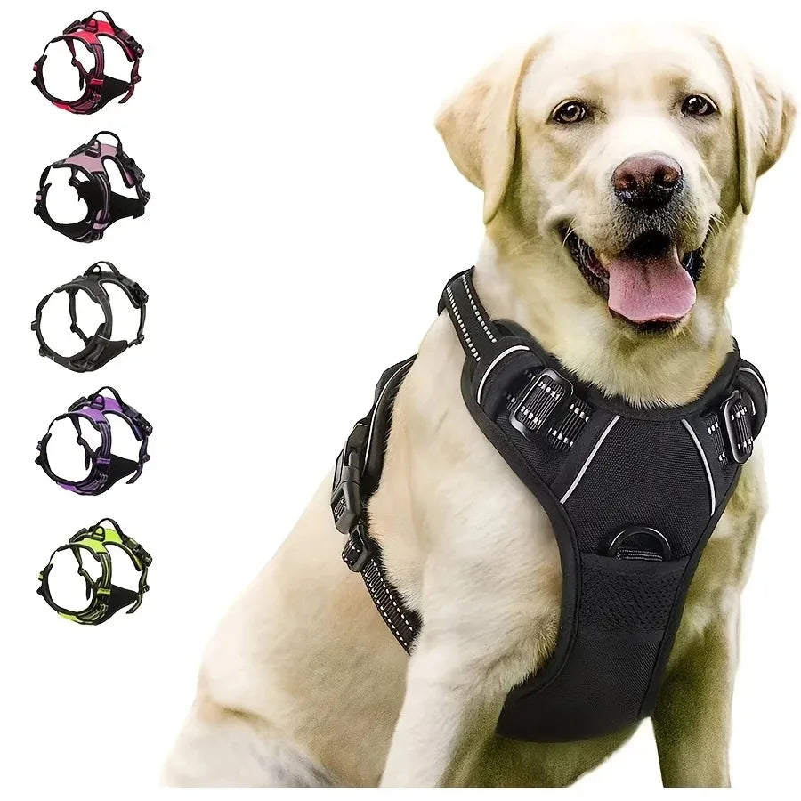 Ultimate Dog Gear Set